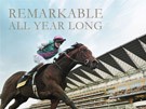 Royal Ascot