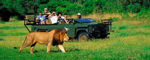 The Ultimate African Safari Signature Tour