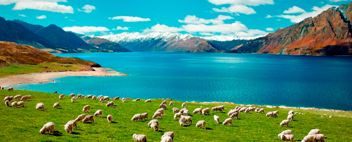 Aotearoa Highlights - Premium New Zealand