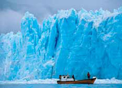 Southern Glacier Cruise