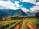 Luxury Escape to South Africa