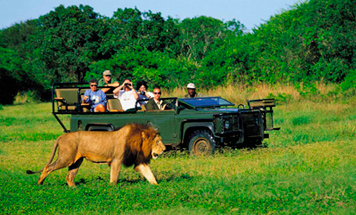 The Ultimate African Safari Tour